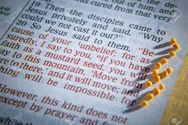 Eleventh Sunday in Ordinary Time