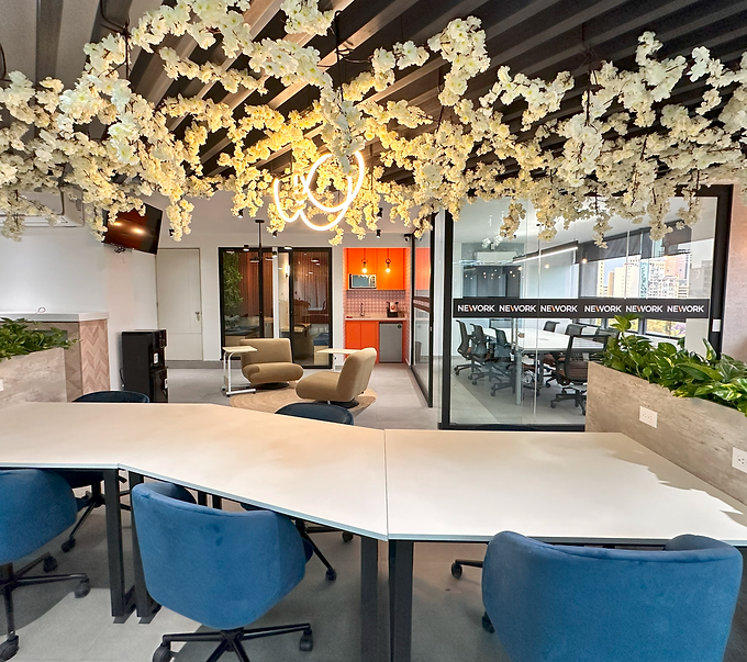 Captura de pantalla 2025-05-27 230809.png