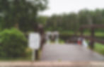 IMG_9128.jpeg