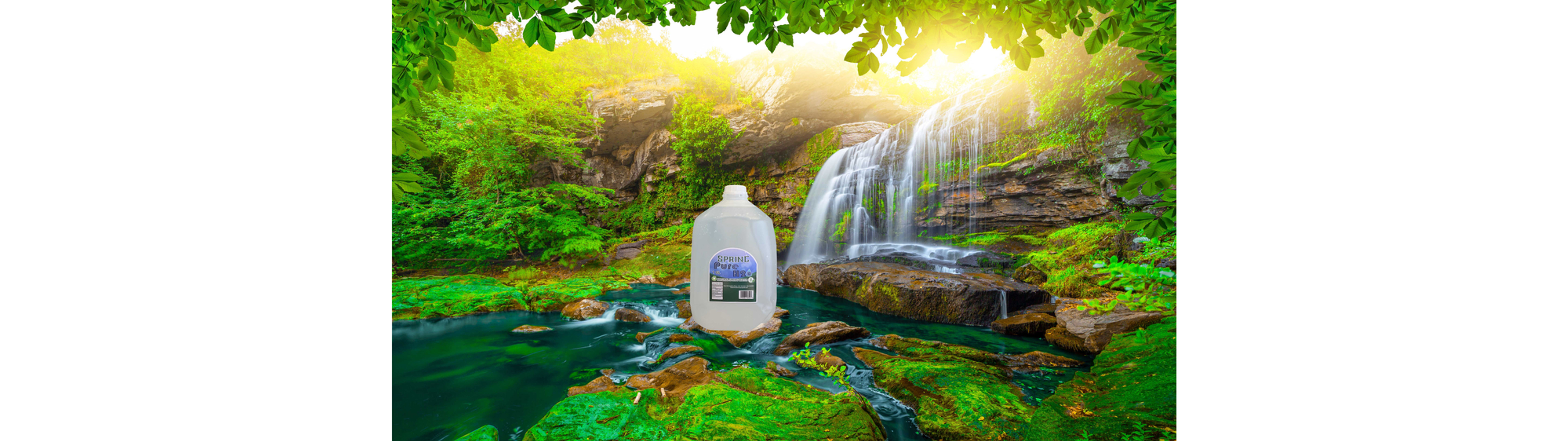 Pure H2o - Spring Natural Water 1 Gl (New)