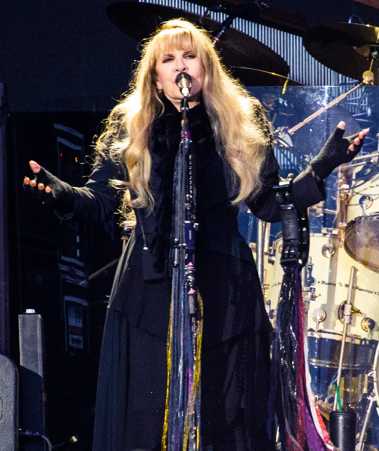 stevie-nicks-02-02f338183593463899d44082fdfc1886.webp