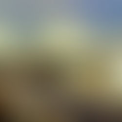 Sarasota - Florida - from a "drone's eye" view