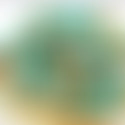 Polymer Clay Jewelry