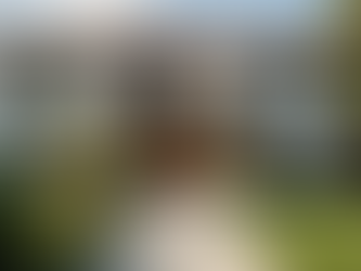 Investing in the American Dream: Rental Management Insights