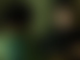 Not All Cookies Are Created Equal; Know When Not To Accept Them