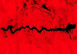 Presence Revealed #5 72 dpi .jpg