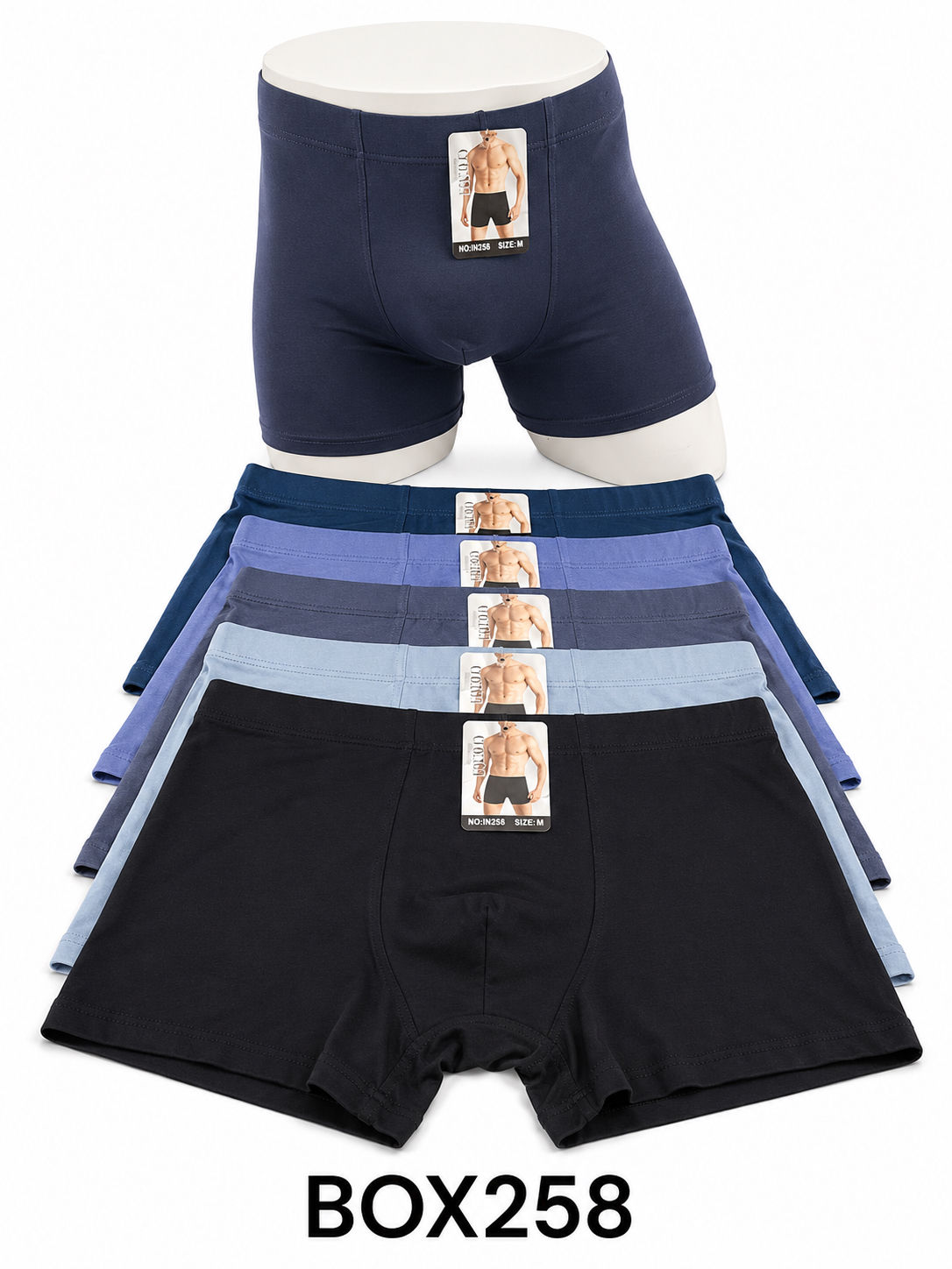 Boxer ormi rose girl caballero varios modelos 