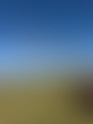 Úrslit úr Opna Unbroken mótinu