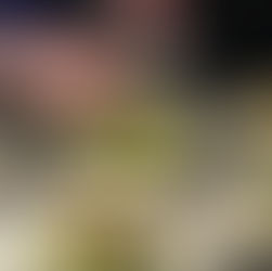 Wales' 2022 Michelin Star Restaurants