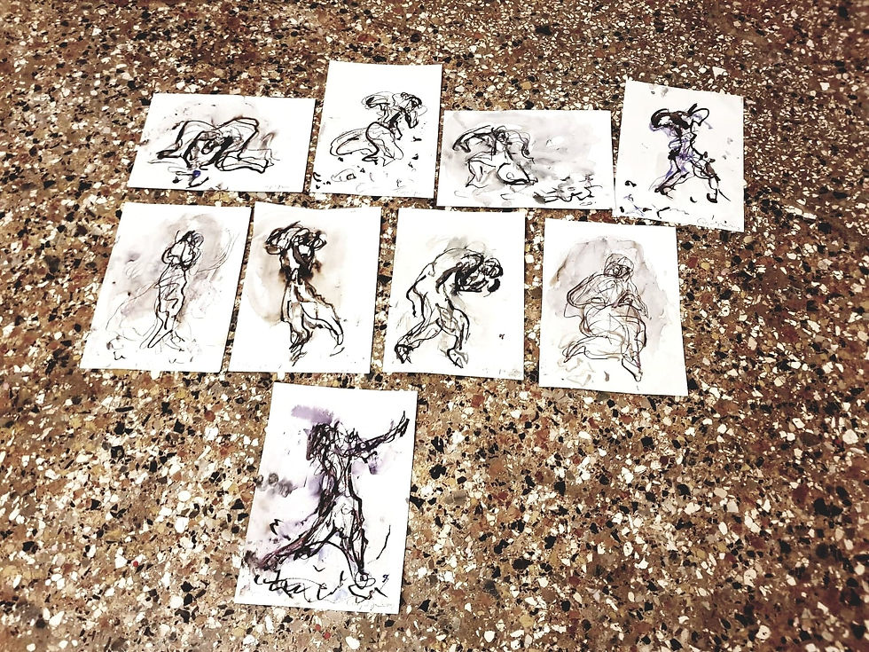 Anima Mundi festivalis, Palazzo Ca'Zanardi