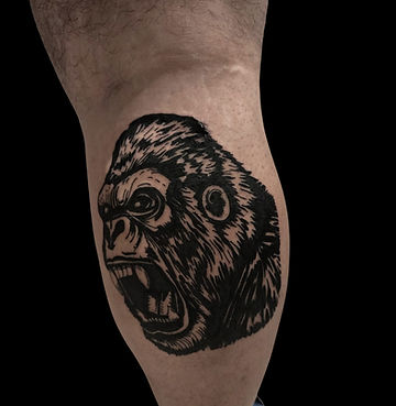 Gorilla.jpeg