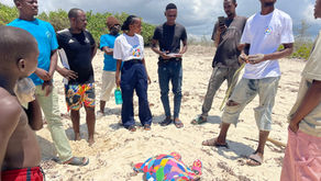 Meet the Rangers: The Community Heroes Behind the Turtle Safe Program
