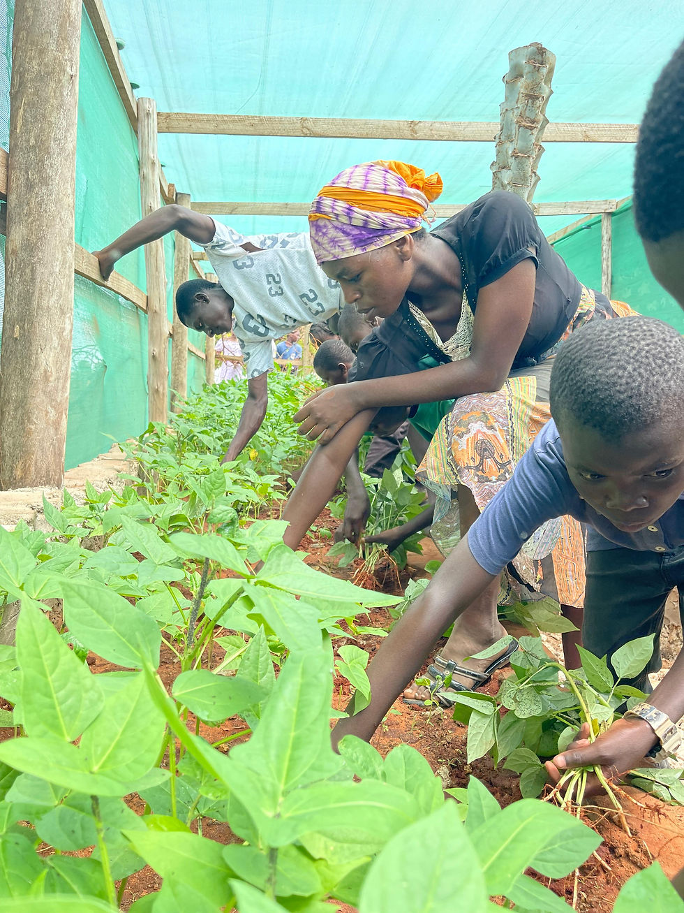 After a successful learning session, the kids hope to get better farm produce in the future after the introduction of vermicomposting.