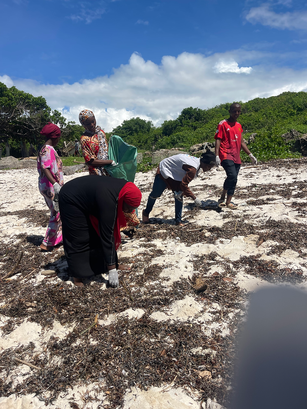 Ocean Sole Impact - 1st Quarter 2026