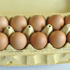 ARMAZENAMENTO DE OVOS