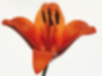 Beauty_test_2024_11_2214779.jpg