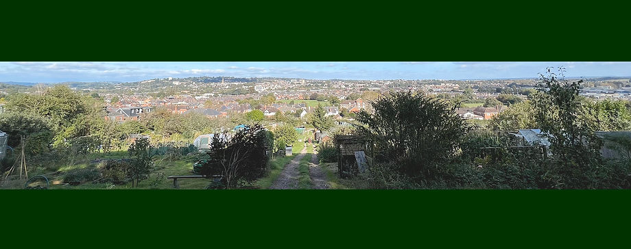 St Thomas Allotments Events Banner.jpg