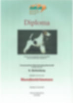 Diploma+hondentrimmen.jpg