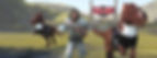 Dino-Dogs Football VR Header.jpg