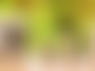 Wealth of India’s 10 richest enough to fund school, higher education of every child for 25 yea