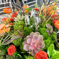 Mitzvah party planner in Philadelphia PA