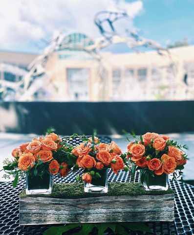 Event planner in Philadelphia PA