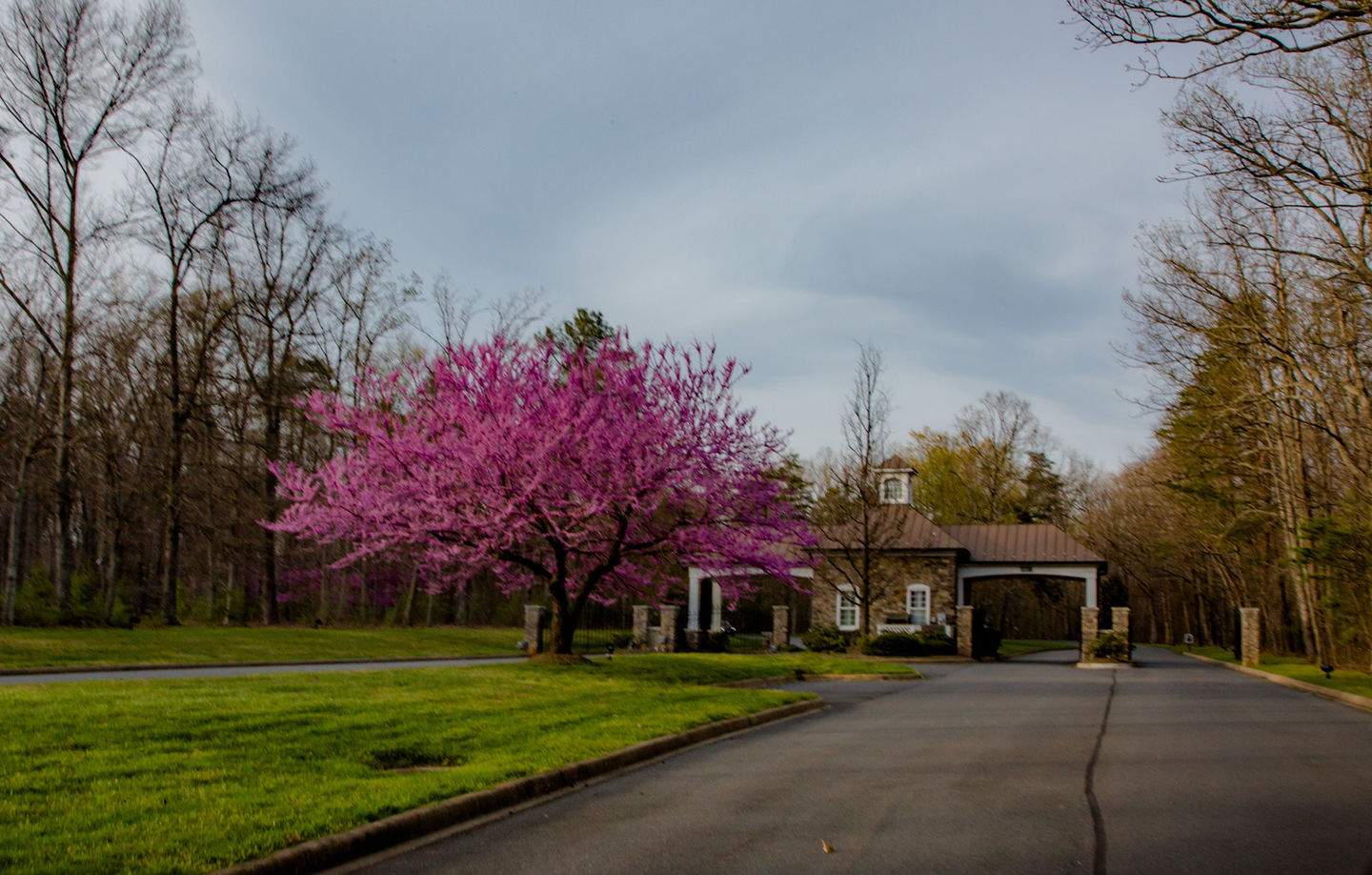Fawn Lake custom home builder