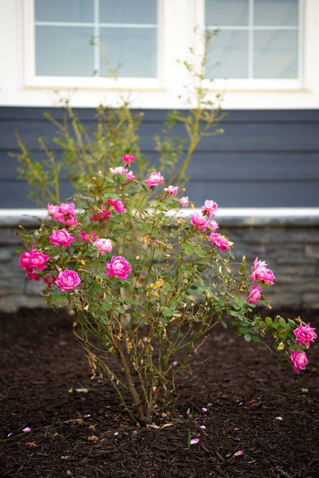 luxury home builder virginia