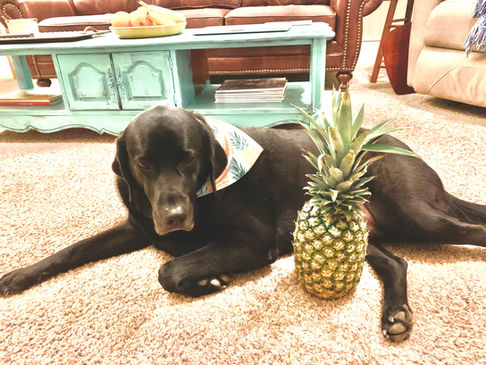 brooke miller real estate