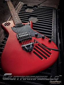 guitarmadillo self amplified guitar