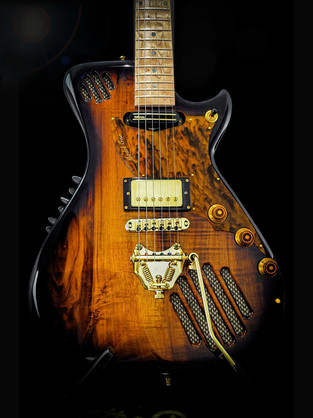 ElectroPhonic Innovations electric guitars