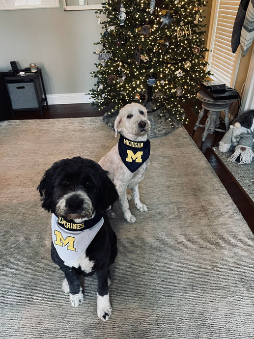 brooke miller real estate