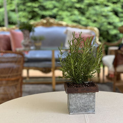 Event planner in Philadelphia PA