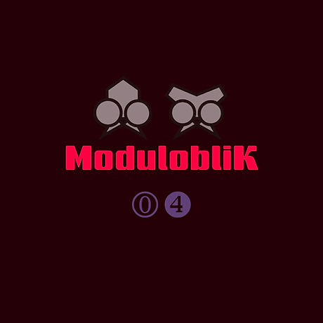 Moduloblik_04.jpg
