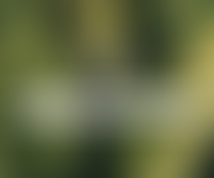 오피쓰 변경주소 https://오피쓰주소.com