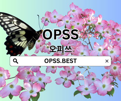 오피쓰 신규주소 https://opss.best