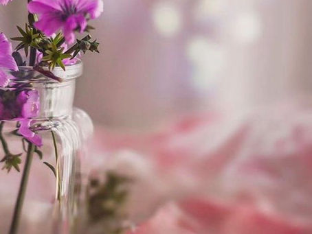 오피쓰 새 주소 https://오피쓰주소.com