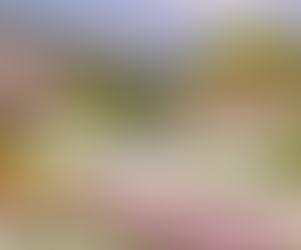 오피쓰 즐겨찾기 https://opss.best