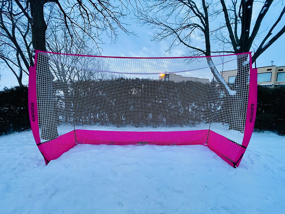 Thumbnail: Outdoor Goal on the Go 2.0 Pink Edition
