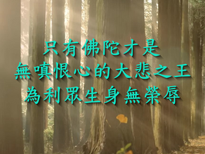 只有佛陀才是無嗔恨心的大悲之王，為利眾生身無榮辱