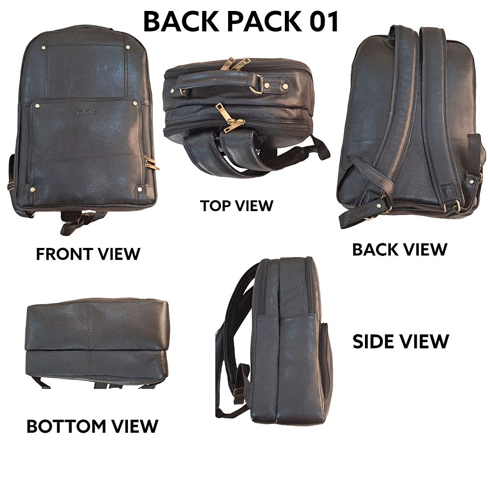 Backpack
