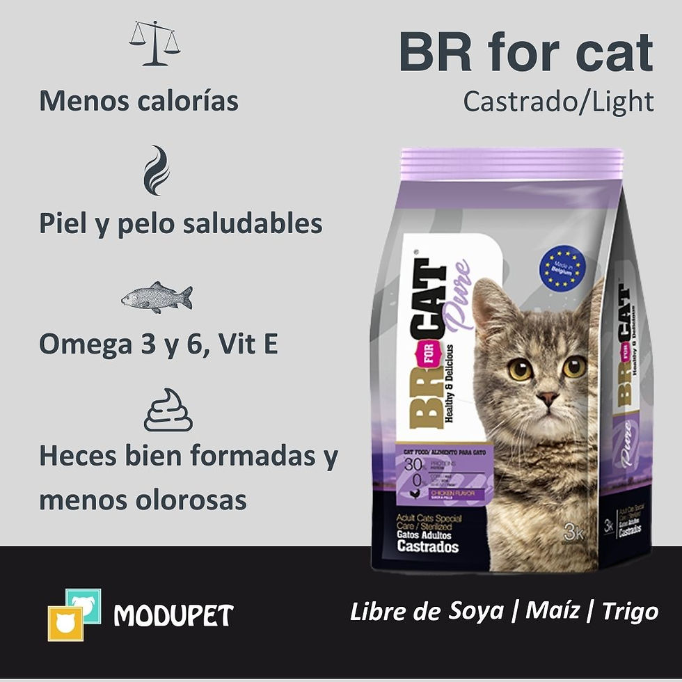 Miniatura: Br for cat Castrado light 1kg