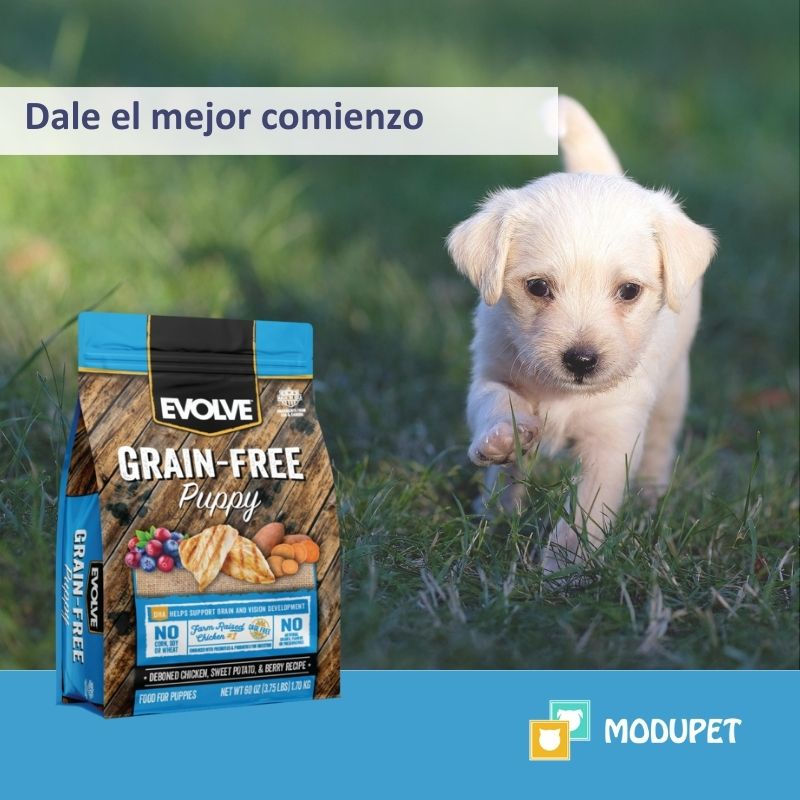 Miniatura: Evolve Dog Puppy Sin Granos - Cachorro