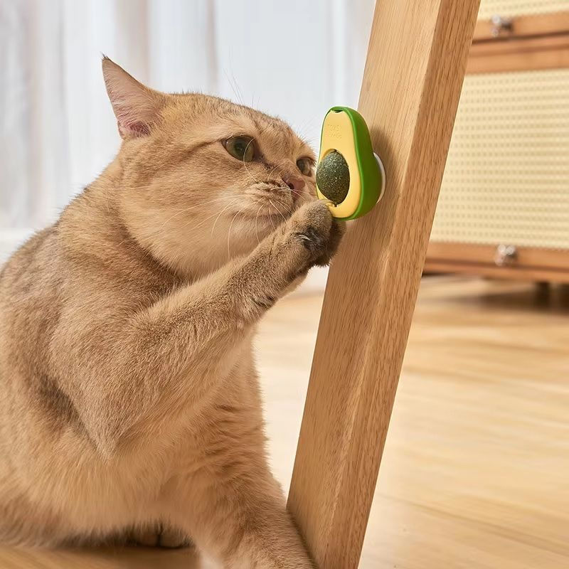 Miniatura: Hierba Gatera Catnip Huevito