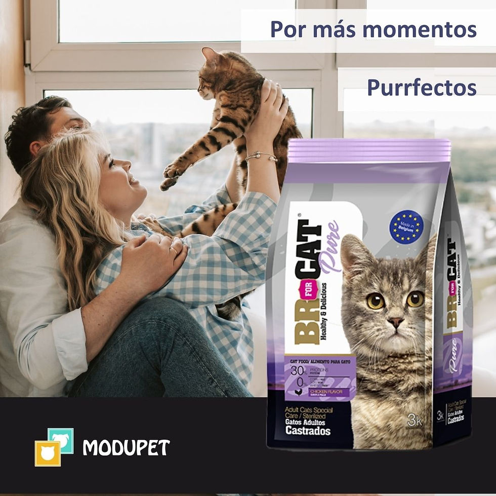 Miniatura: Br for cat Castrado light 1kg