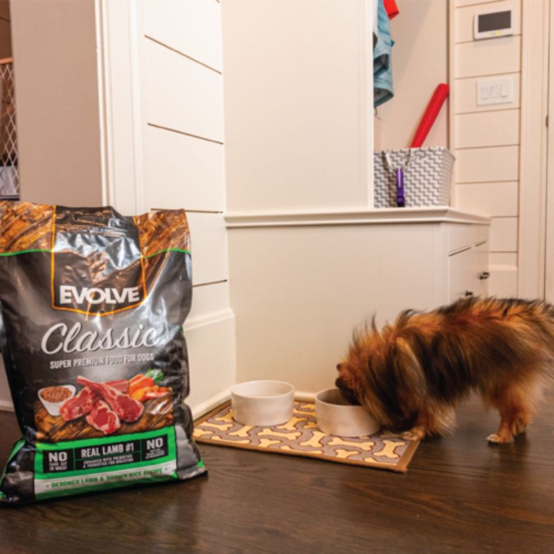 Miniatura: Evolve Dog Classic Cordero