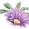 Purple Flower with Leaves