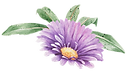 Purple Flower with Leaves
