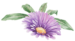 Purple Flower with Leaves
