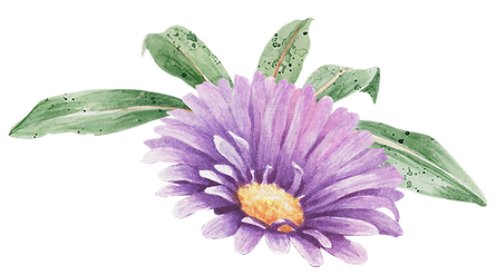 Purple Flower with Leaves